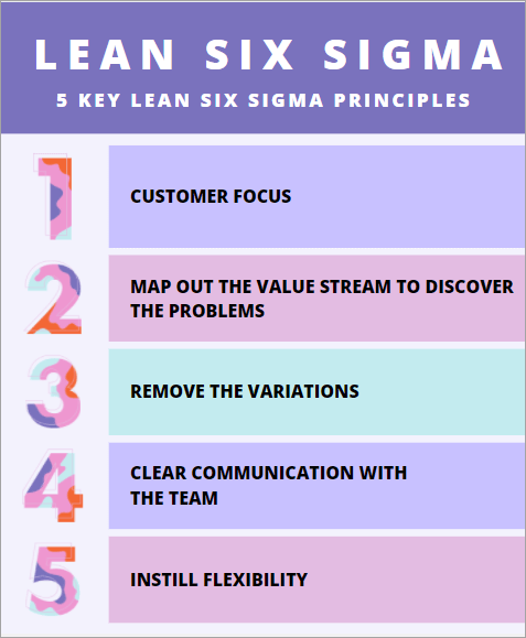 Lean Six Sigma Principles, Lean Six Sigma