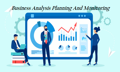 Business Analysis Planning And Monitoring