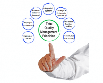 8 Principles of Total Quality Management for Continuous Improvement